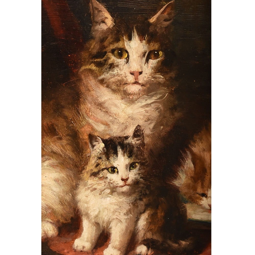 QA770 4a antique oil painting cats portraits painting XIX